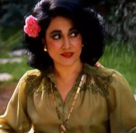 حمیرا ساز خاموش
