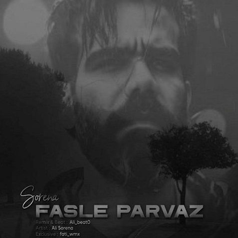 ریمیکس آهنگ فصل پرواز از علی سورنا