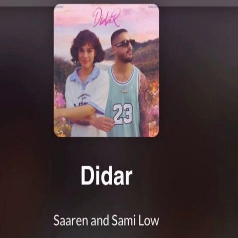 سارن و سمی لو دیدار